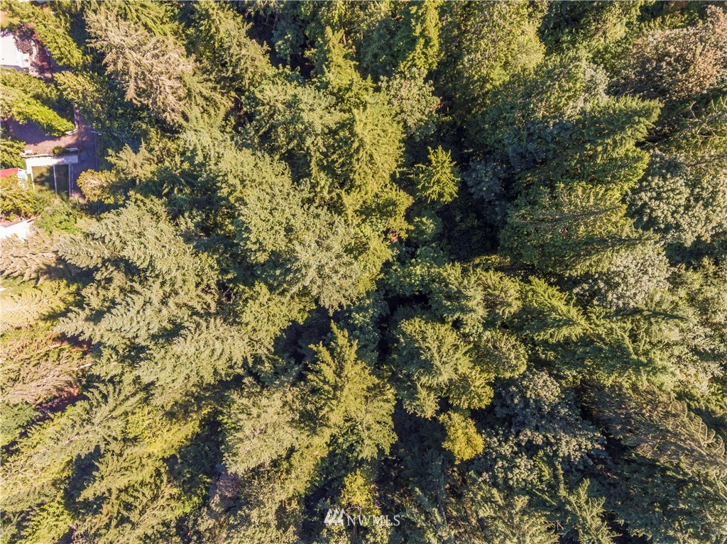 235-xx South Lake Roesiger Road Snohomish, WA 98290 - Photo 2 of 10