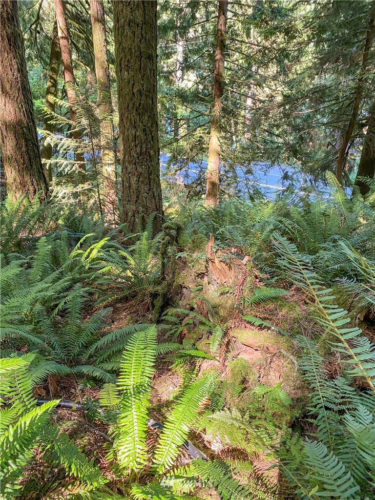 235-xx South Lake Roesiger Road Snohomish, WA 98290 - Photo 4 of 10
