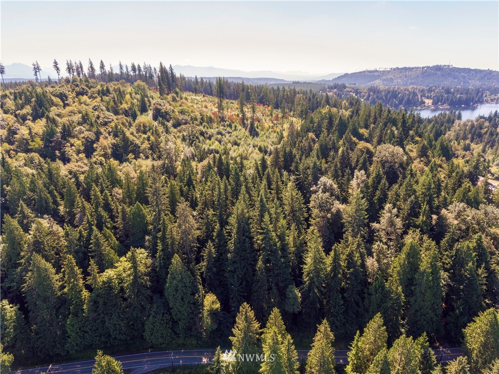 235-xx South Lake Roesiger Road Snohomish, WA 98290 - Photo 8 of 10