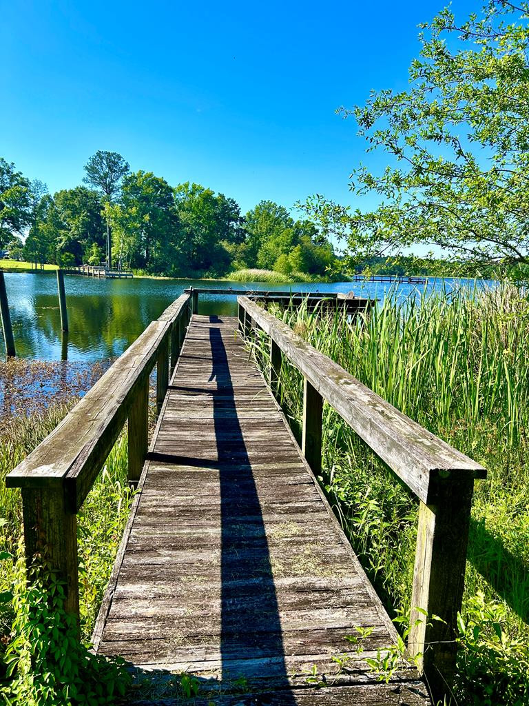 1481 Greenall Road Summerton, SC 29148 - Photo 23 of 24 Gallery Image 23