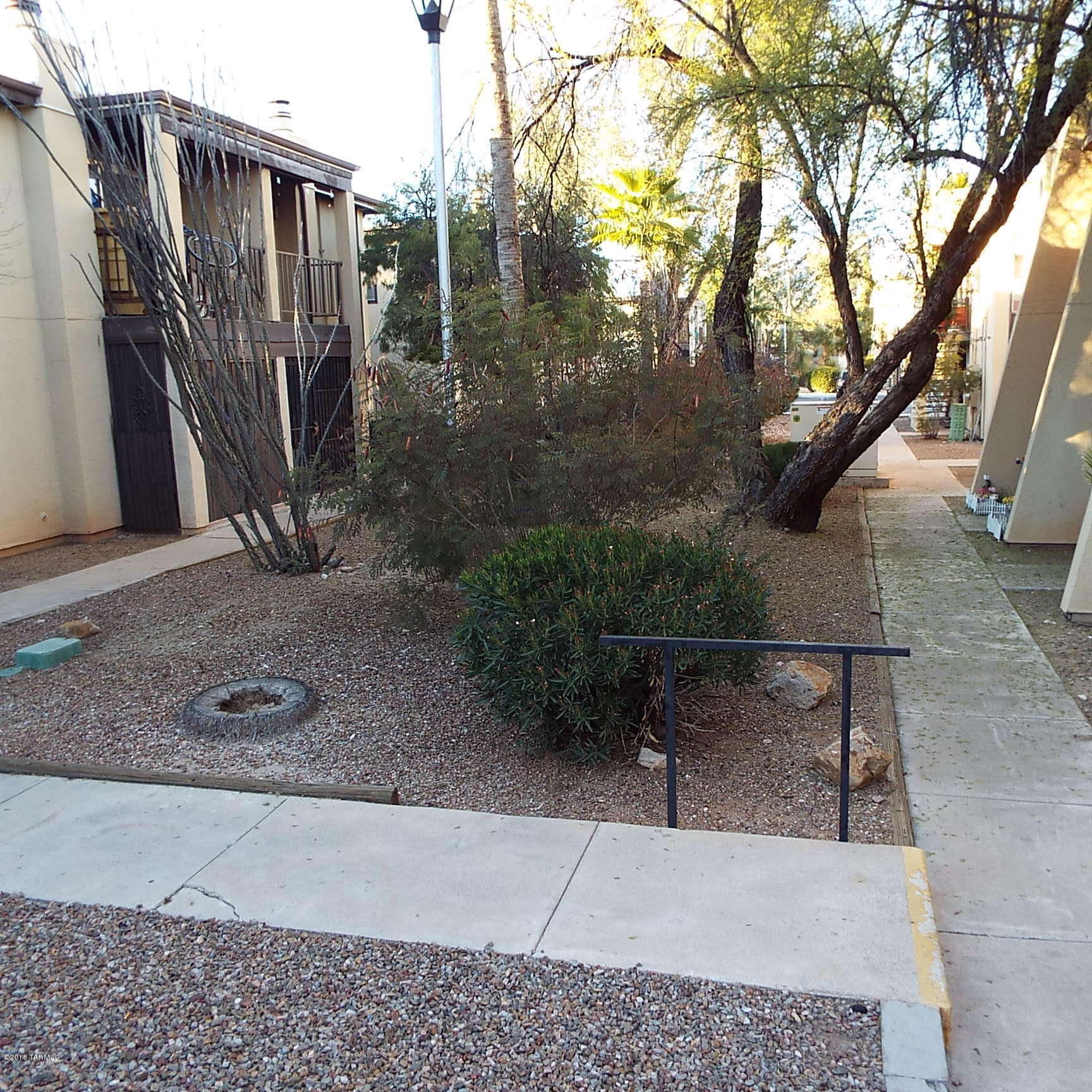 1620 North Wilmot Road, Unit P181 Tucson, AZ 85712 - Photo 1 of 15