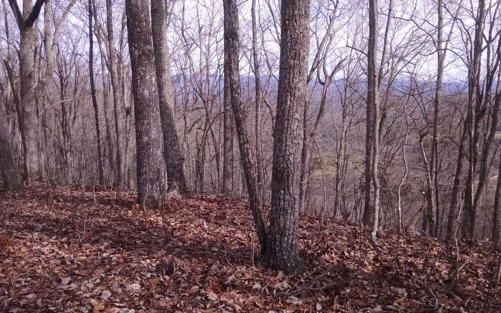1335 Candy Mountain Road Murphy, NC 28906 - Photo 3 of 4 Additional View