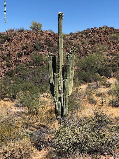 North Park Ridge Place Tucson, AZ 85743 - Photo 8 of 10
