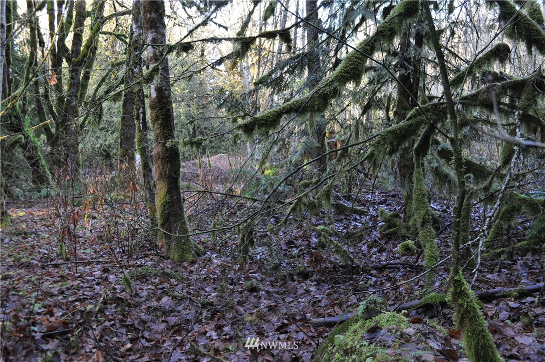 8982 Frost Creek Road Maple Falls, WA 98266 - Photo 11 of 22
