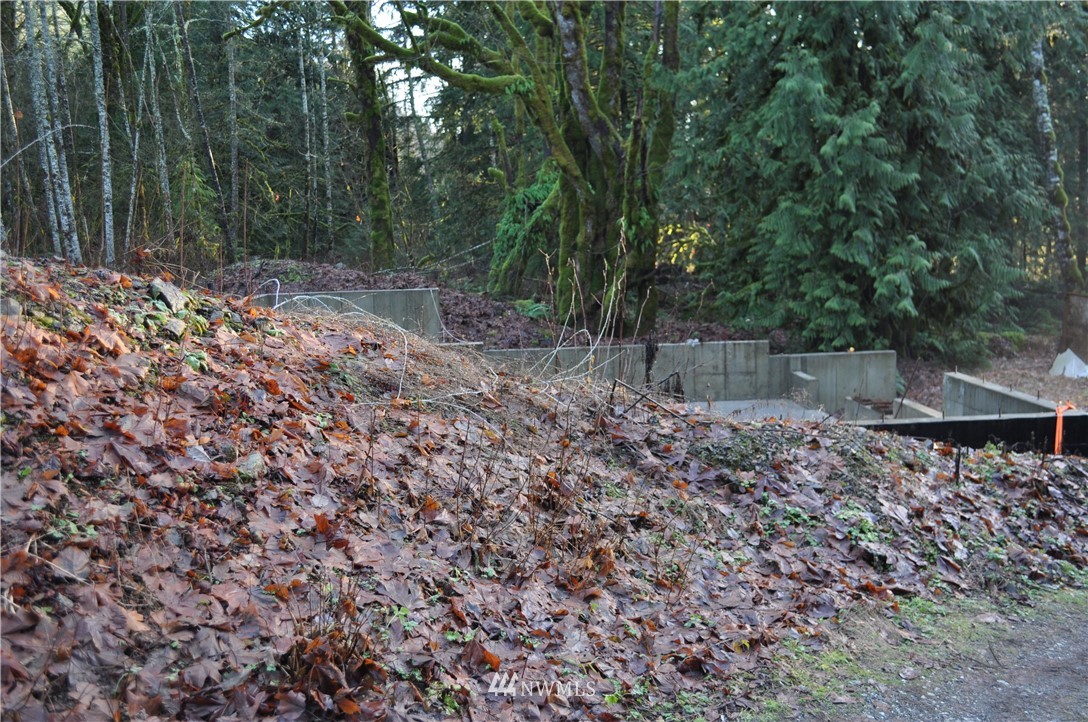 8982 Frost Creek Road Maple Falls, WA 98266 - Photo 12 of 22