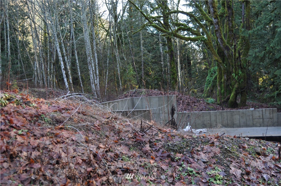 8982 Frost Creek Road Maple Falls, WA 98266 - Photo 13 of 22