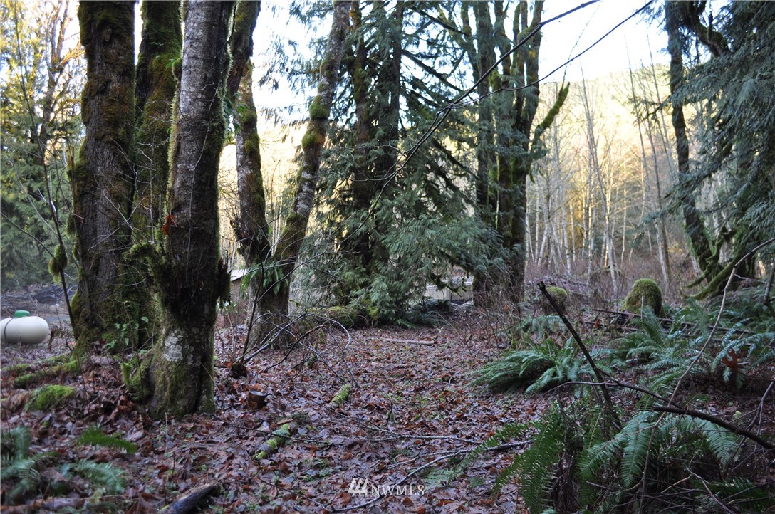 8982 Frost Creek Road Maple Falls, WA 98266 - Photo 20 of 22