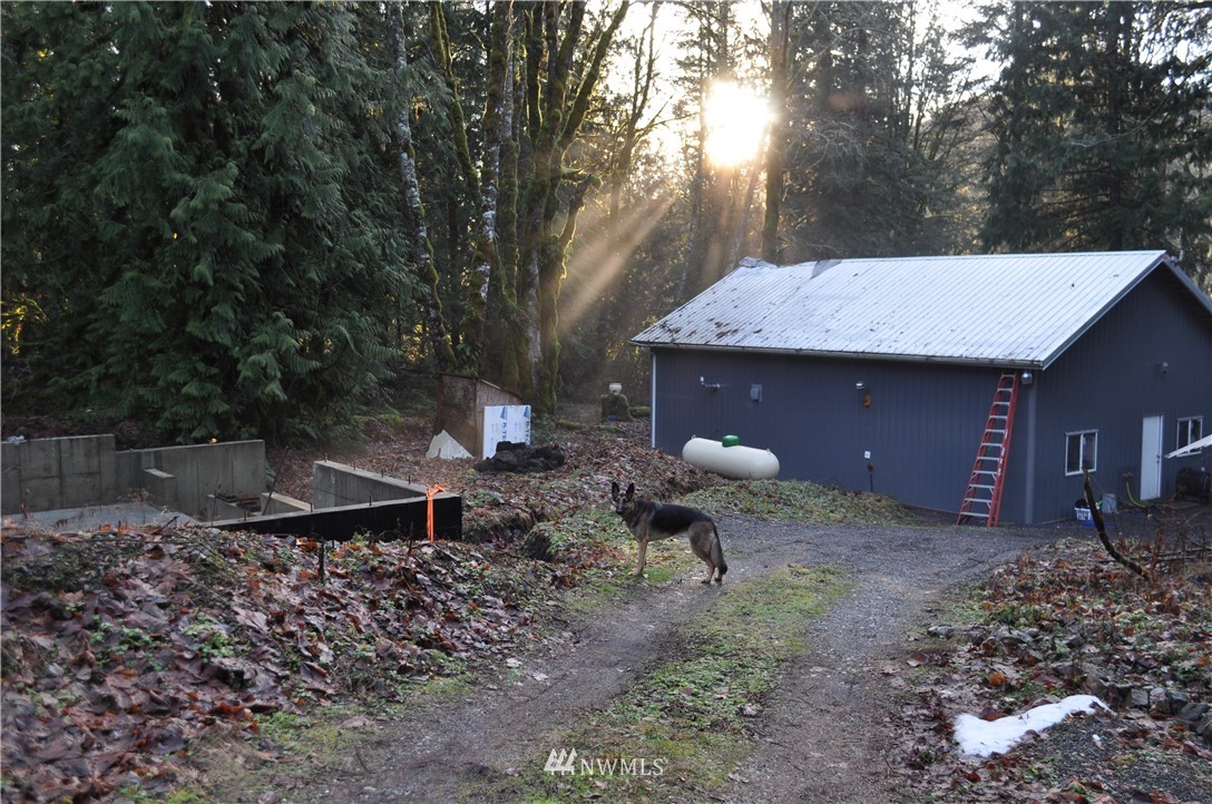 8982 Frost Creek Road Maple Falls, WA 98266 - Photo 3 of 22
