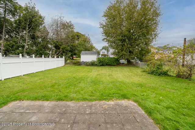 a view of a trees with a yard