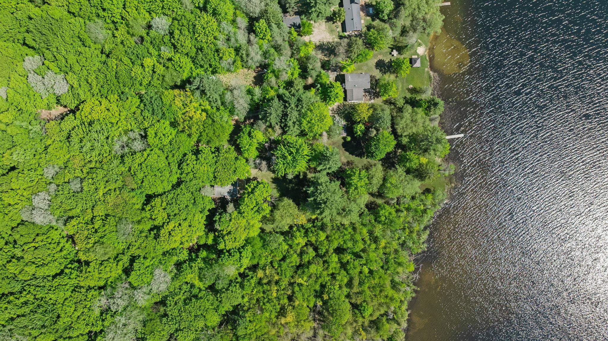 5252 6 Mile Lake Road Ellsworth, MI 49729 - Photo 72 of 76