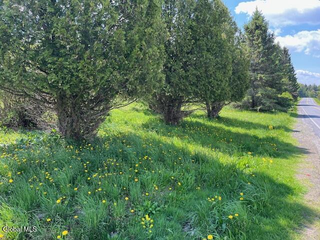 296 Evergreen Road Carlisle, NY 12043 - Photo 2 of 17 IMG_5337