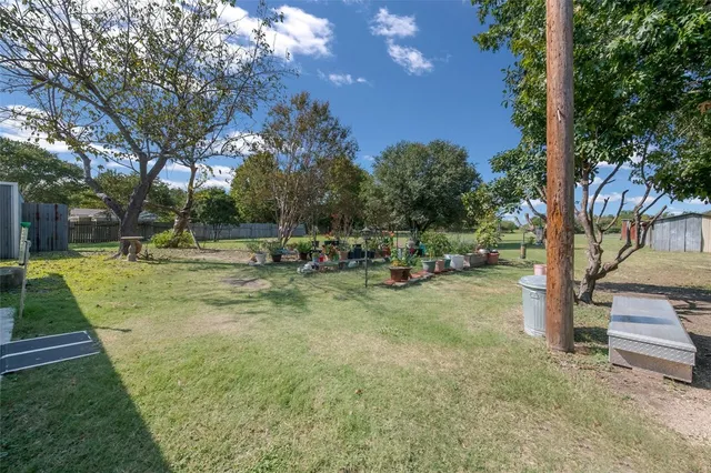a view of a house with backyard and a tree