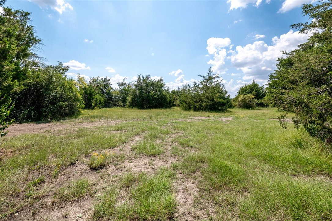 901 South Old Robinson Road Robinson, TX 76706 - Photo 39 of 55 a view of a green field with trees in the background