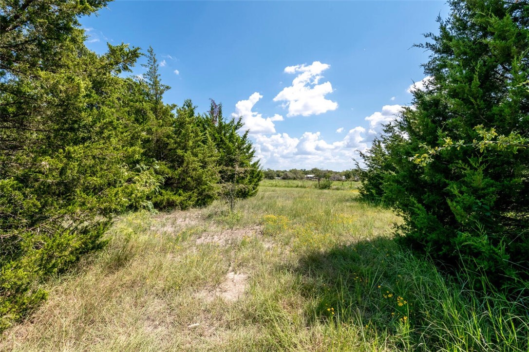 901 South Old Robinson Road Robinson, TX 76706 - Photo 40 of 55 a view of a yard with a tree