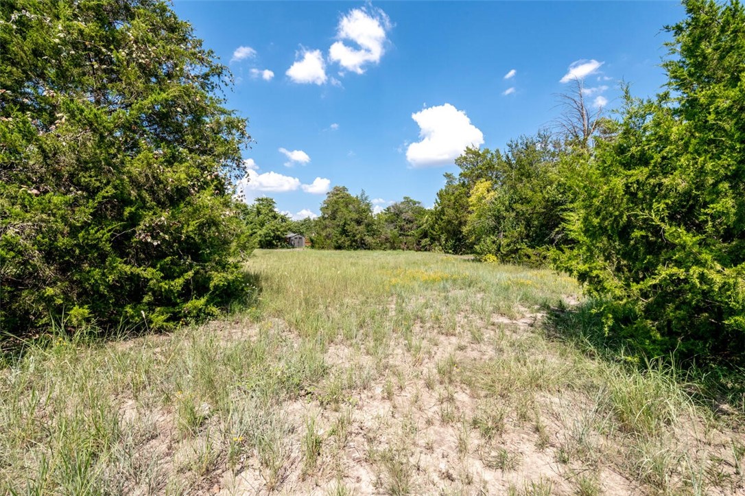 901 South Old Robinson Road Robinson, TX 76706 - Photo 41 of 55 a view of a yard with a tree