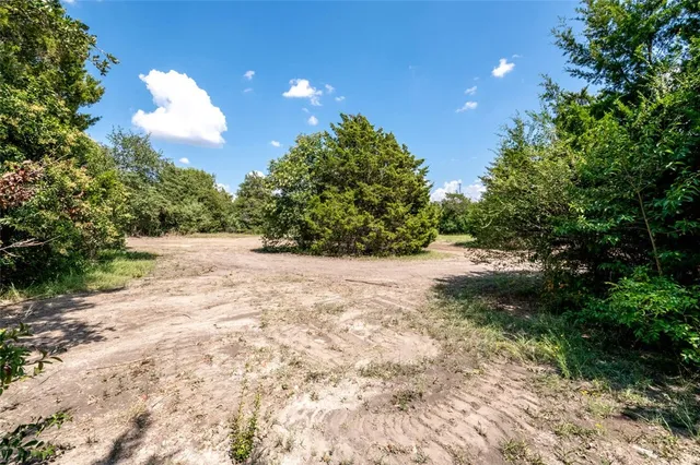 a view of a green yard