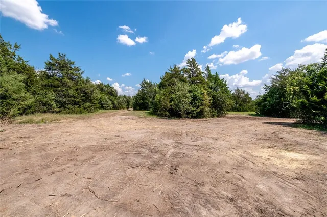 a view of a yard with a tree