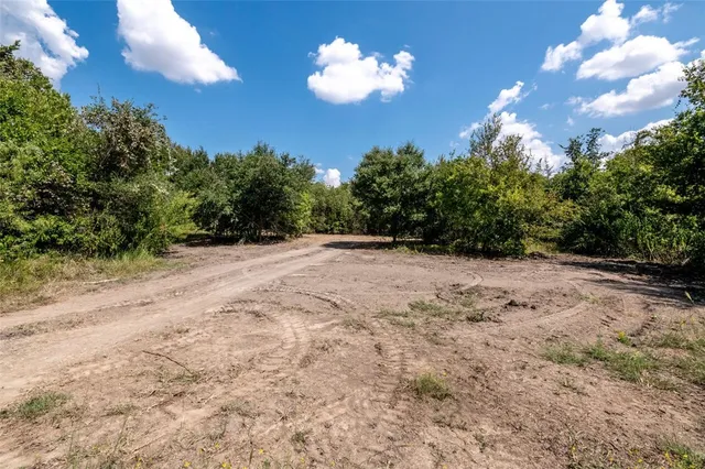 a view of a yard with plants and wooden fence