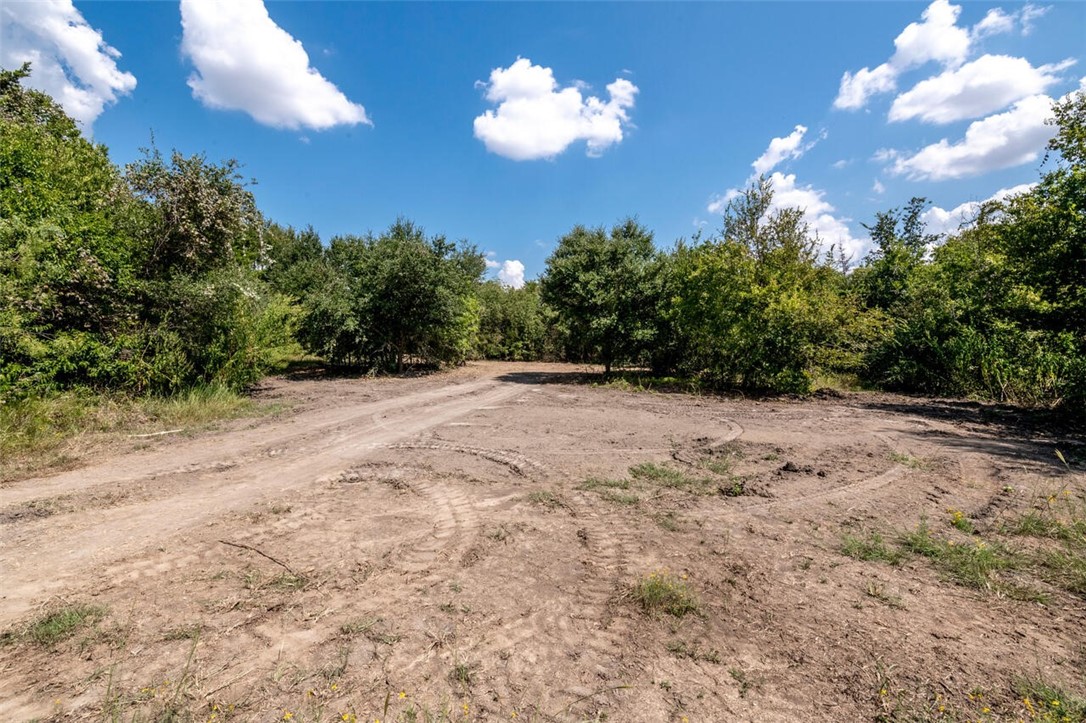 901 South Old Robinson Road Robinson, TX 76706 - Photo 44 of 55 a view of a yard with an trees