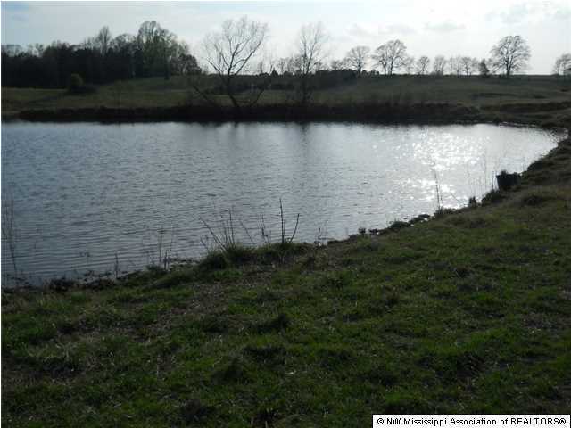 1744 Cypress Corner Road Senatobia, MS 38668 - Photo 2 of 27 Additional Photo
