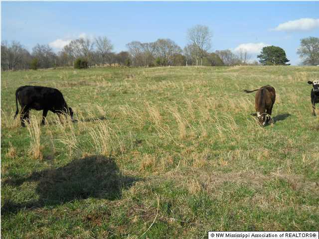 1744 Cypress Corner Road Senatobia, MS 38668 - Photo 23 of 27 Additional Photo