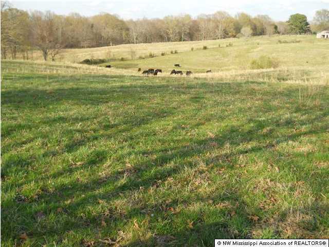 1744 Cypress Corner Road Senatobia, MS 38668 - Photo 24 of 27 Additional Photo