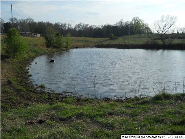 1744 Cypress Corner Road Senatobia, MS 38668 - Photo 25 of 27 Additional Photo