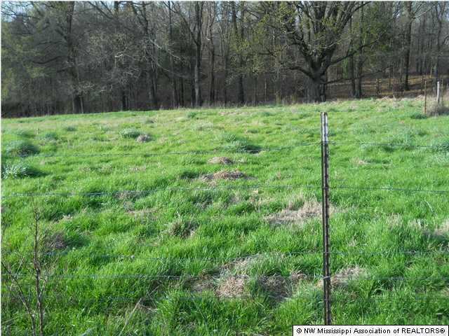 1744 Cypress Corner Road Senatobia, MS 38668 - Photo 26 of 27 Additional Photo