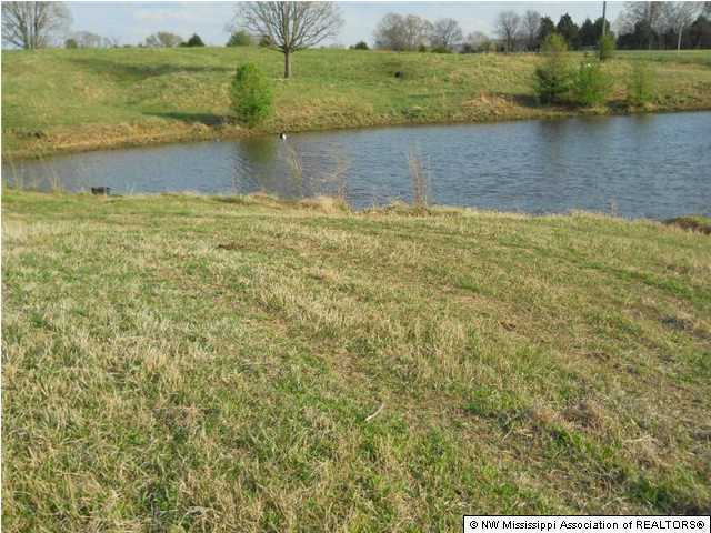 1744 Cypress Corner Road Senatobia, MS 38668 - Photo 3 of 27 Additional Photo