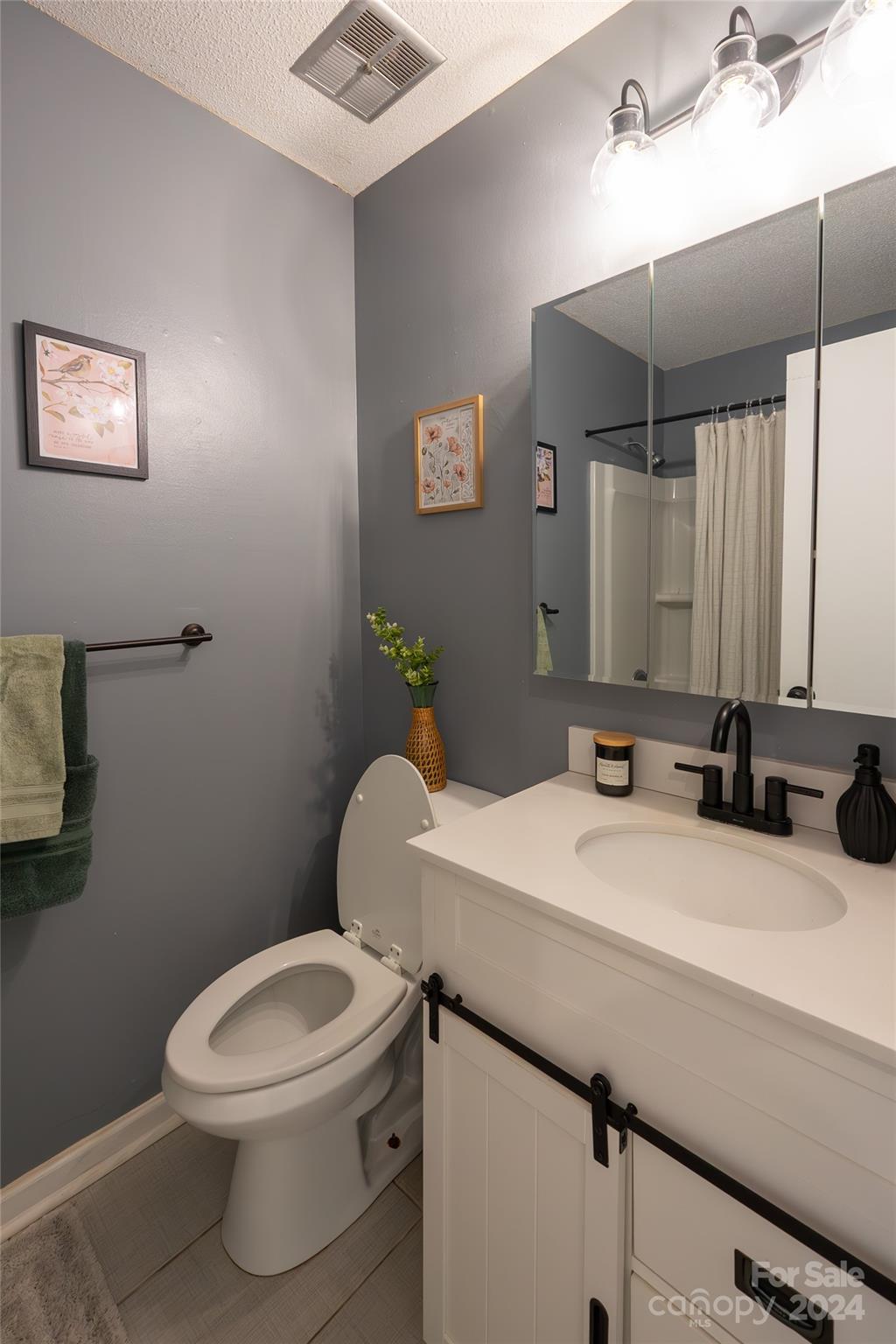 21625 Rio Oro Drive Cornelius, NC 28031 - Photo 13 of 31 a bathroom with a sink vanity mirror and toilet