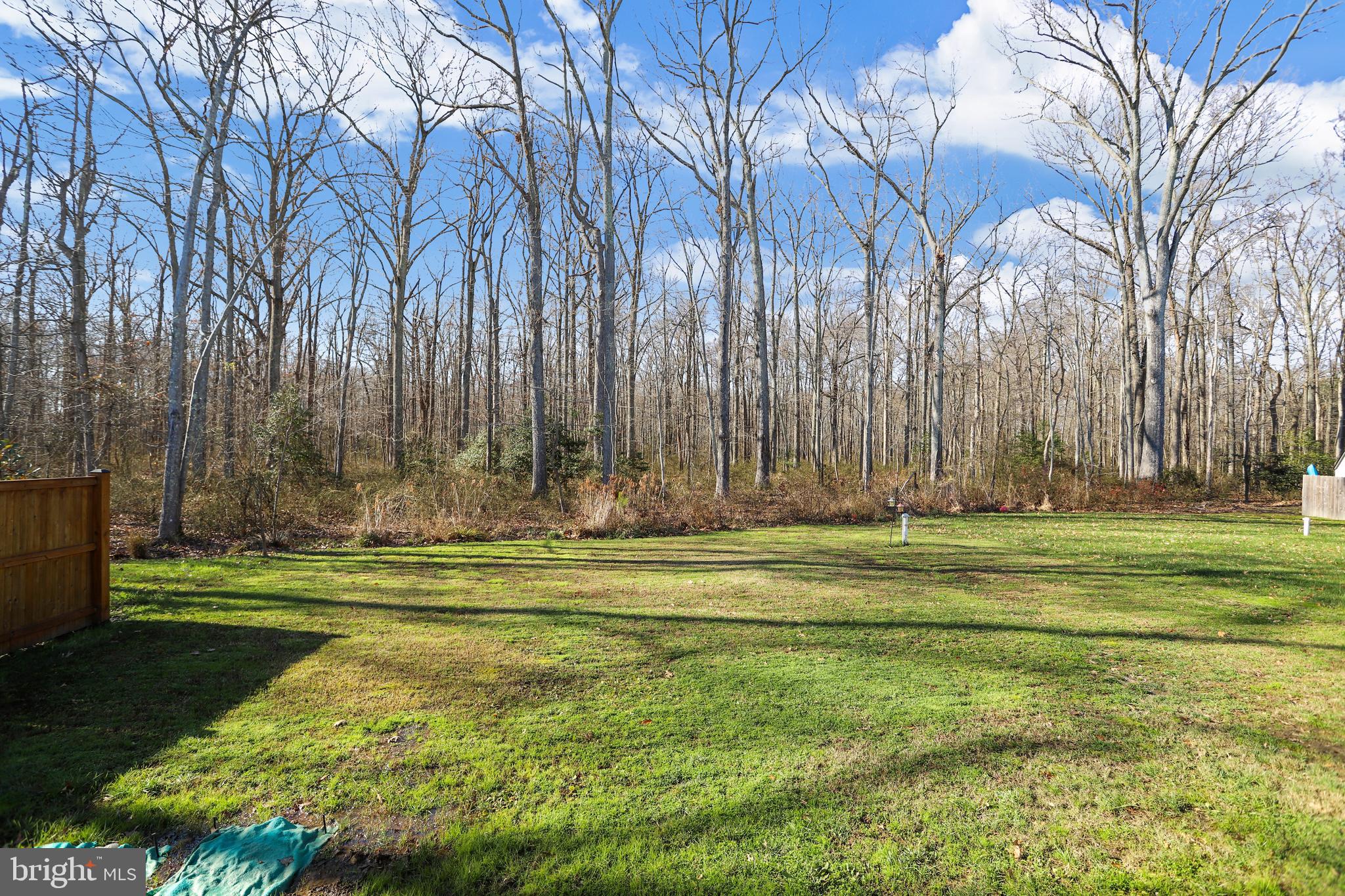 5954 Tyler Road Deale, MD 20751 - Photo 25 of 44 Rear yard backs to wooded common area