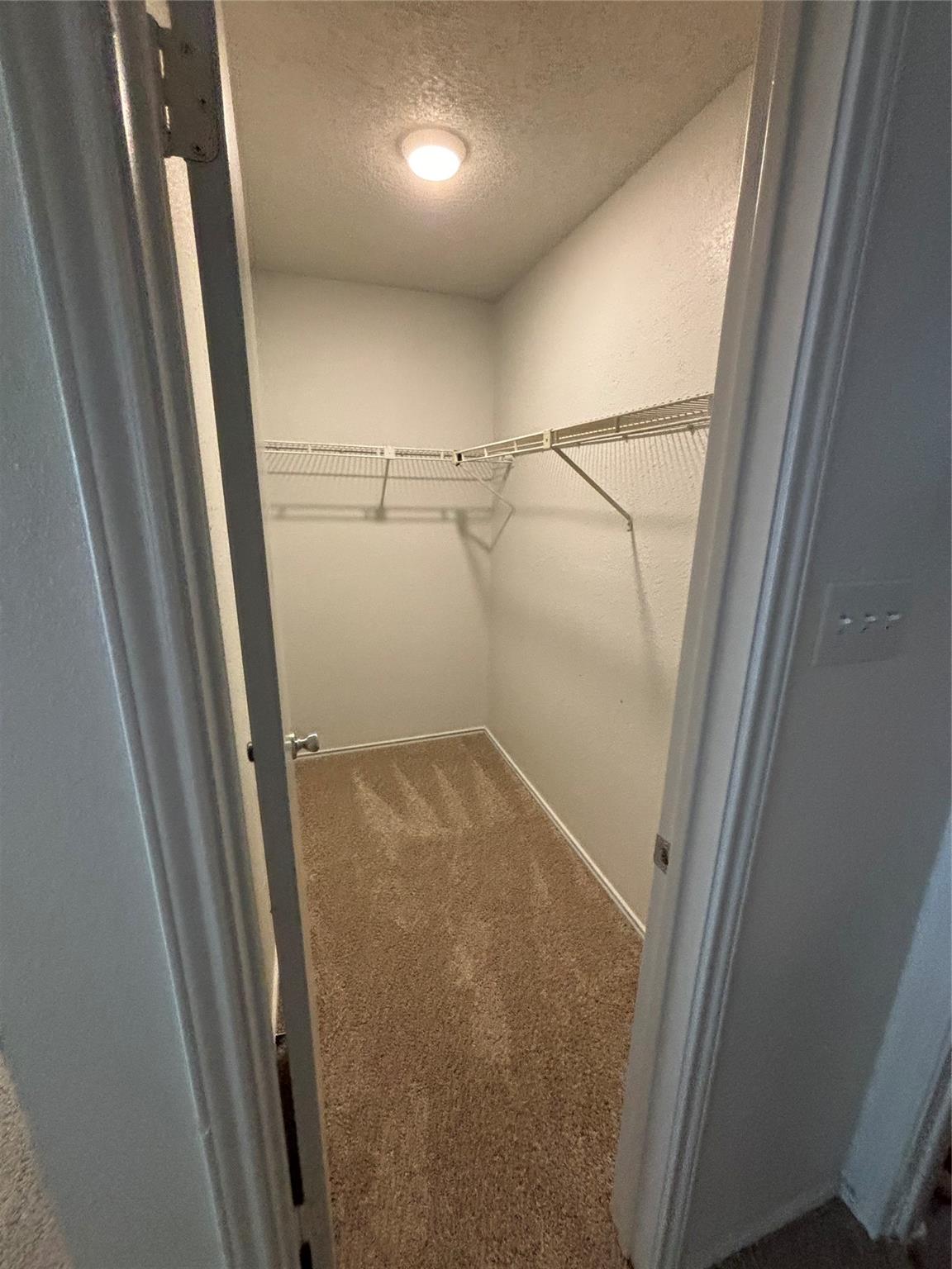 2033 Redwing Way Round Rock, TX 78664 - Photo 5 of 13 Walk in closet