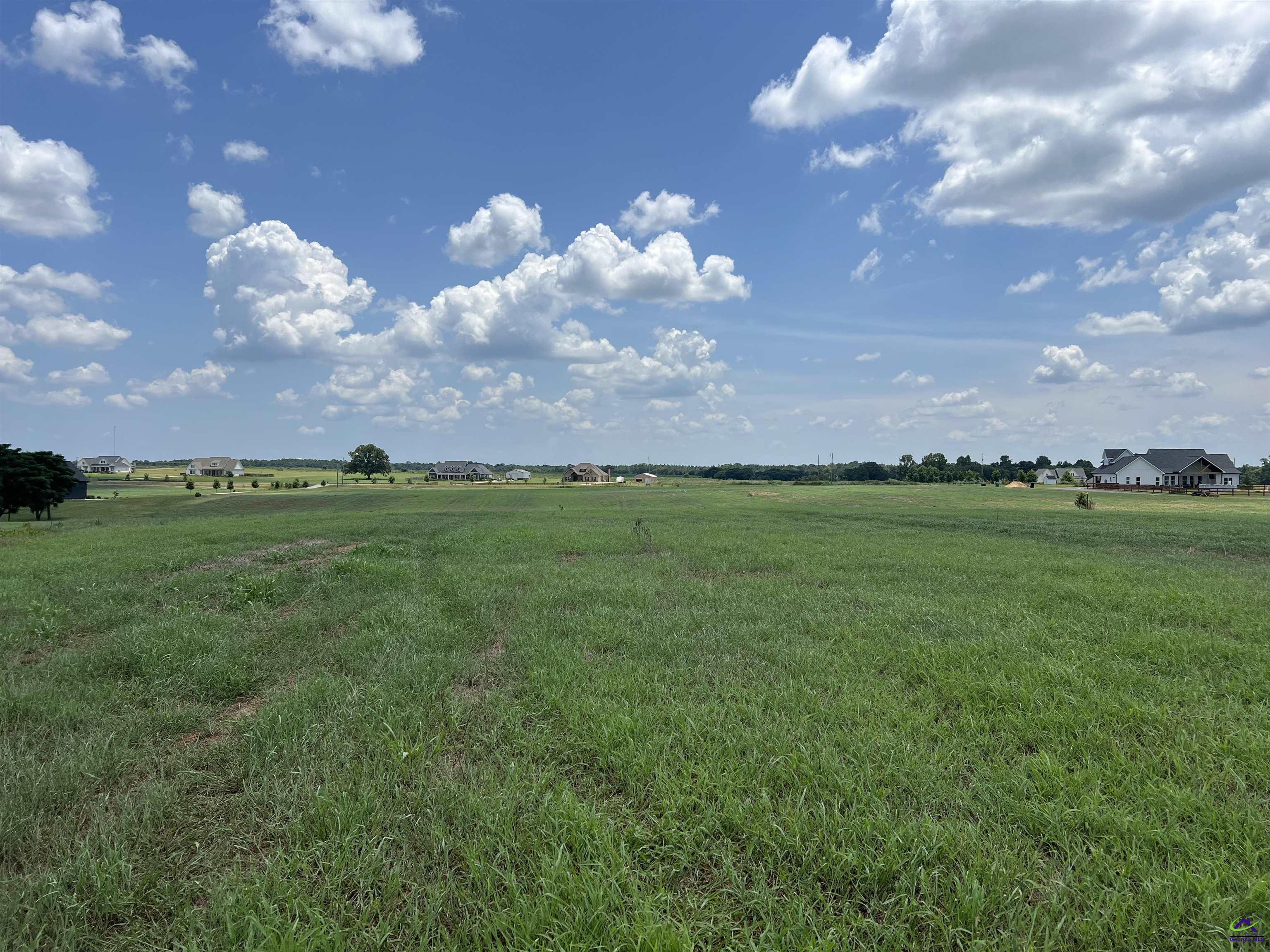 Gilbert Road Elko, GA 31025 - Photo 5 of 7