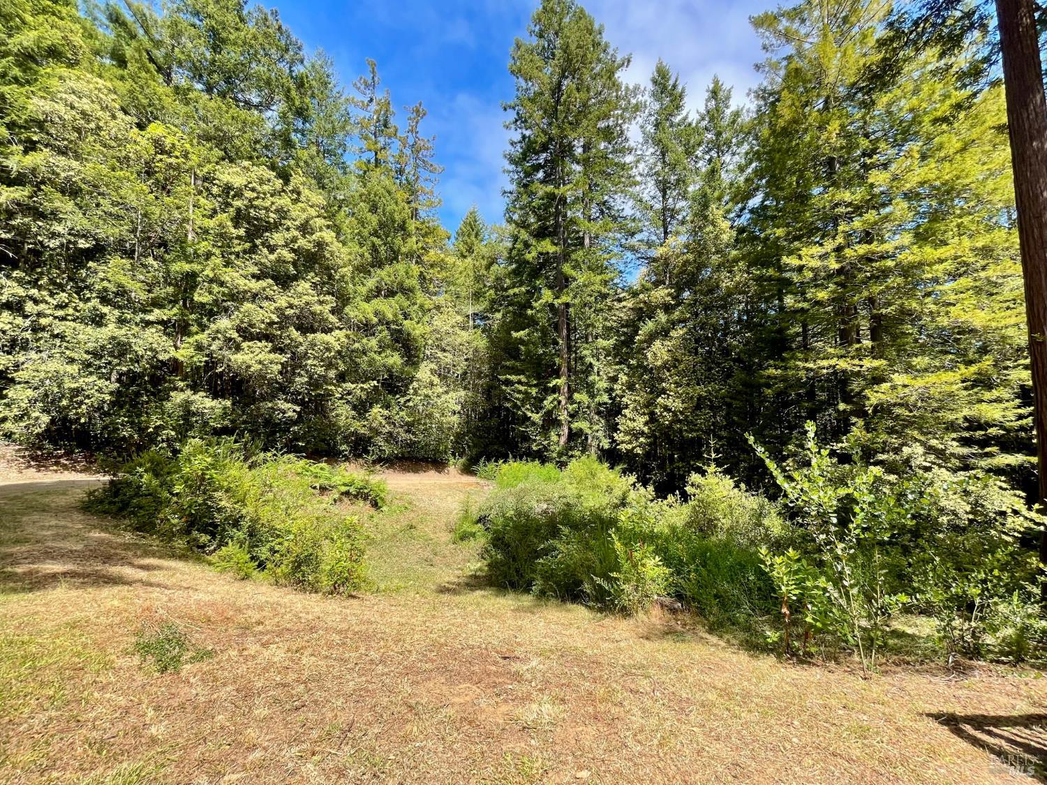 29905 Ten Mile Cut Off Road Gualala, CA 95445 - Photo 21 of 24