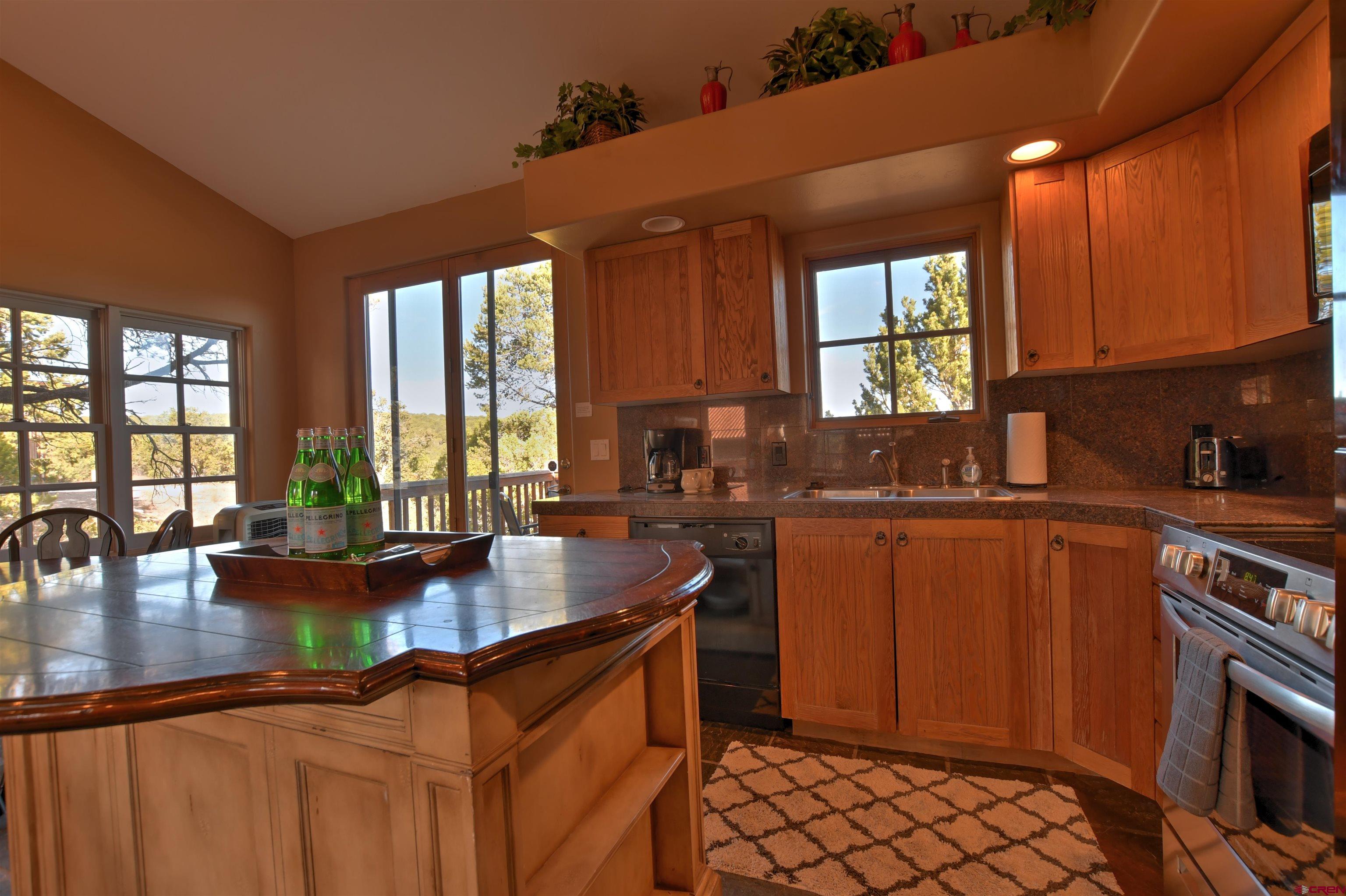 150 Enclave Road Ridgway, CO 81432 - Photo 26 of 45 a kitchen with stainless steel appliances granite countertop a sink dishwasher stove and refrigerator with wooden floor