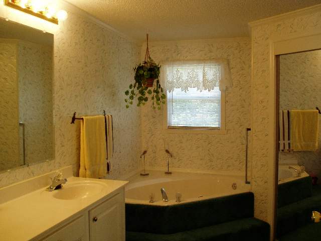 123 Coster Road Travelers Rest, SC 29690 - Photo 13 of 21
