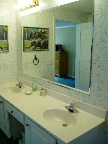 123 Coster Road Travelers Rest, SC 29690 - Photo 14 of 21