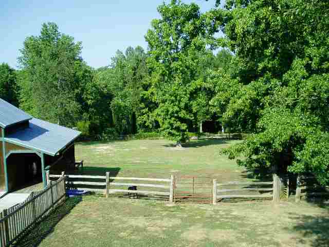 123 Coster Road Travelers Rest, SC 29690 - Photo 21 of 21