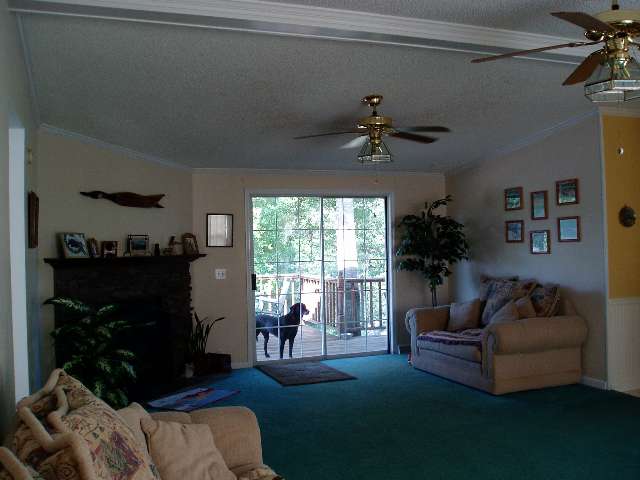 123 Coster Road Travelers Rest, SC 29690 - Photo 8 of 21