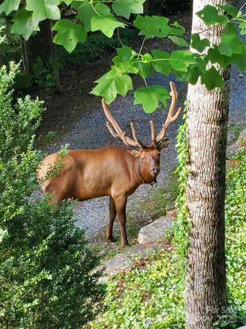 a view of a livingroom with a ceiling fan
