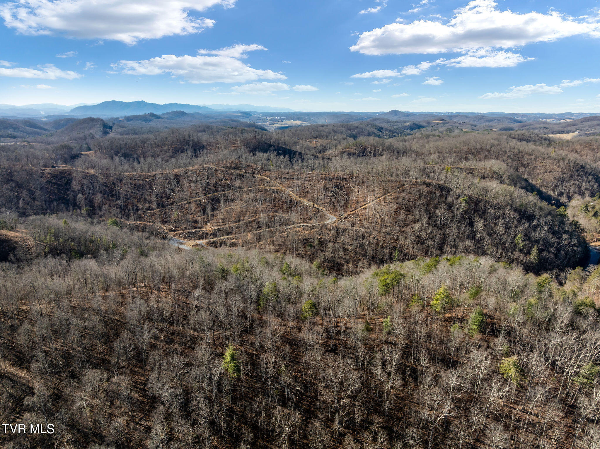 Tbd Cripple Creek Road Watauga, TN 37694 - Photo 9 of 46 DJI_0091