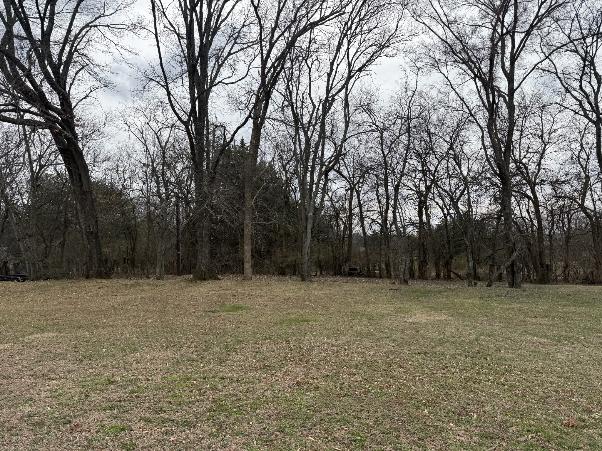 135 Lake Pointe Road La Vergne, TN 37086 - Photo 14 of 14 a view of a yard with trees