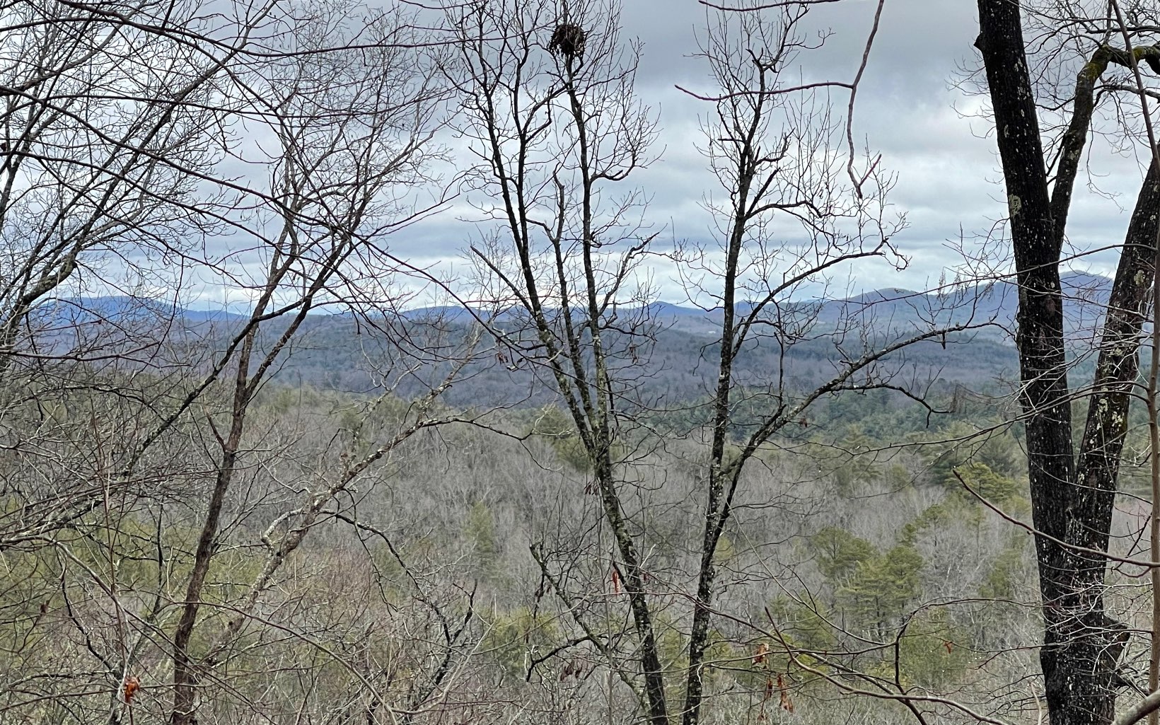 Bell Camp Ridge Road Blue Ridge, GA 30513 - Photo 1 of 6 Main View