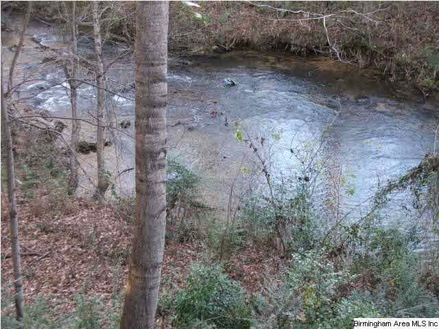 735 Cahaba Manor Trail Pelham, AL 35124 - Photo 14 of 22