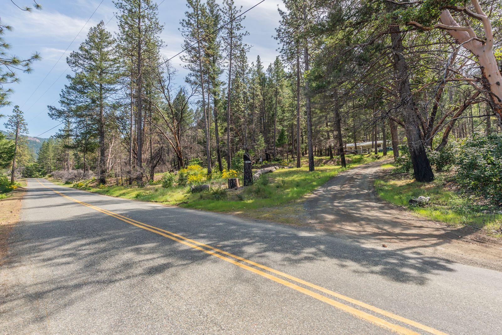 710 Dutch Creek Road Junction City, CA 96048 - Photo 29 of 38 a view of a park with of trees