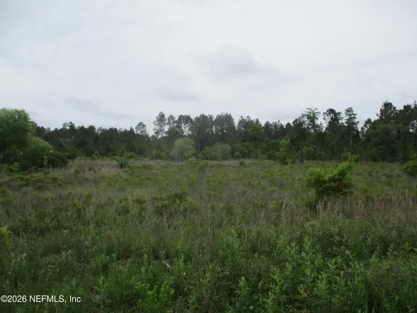 a view of a field of grass and trees