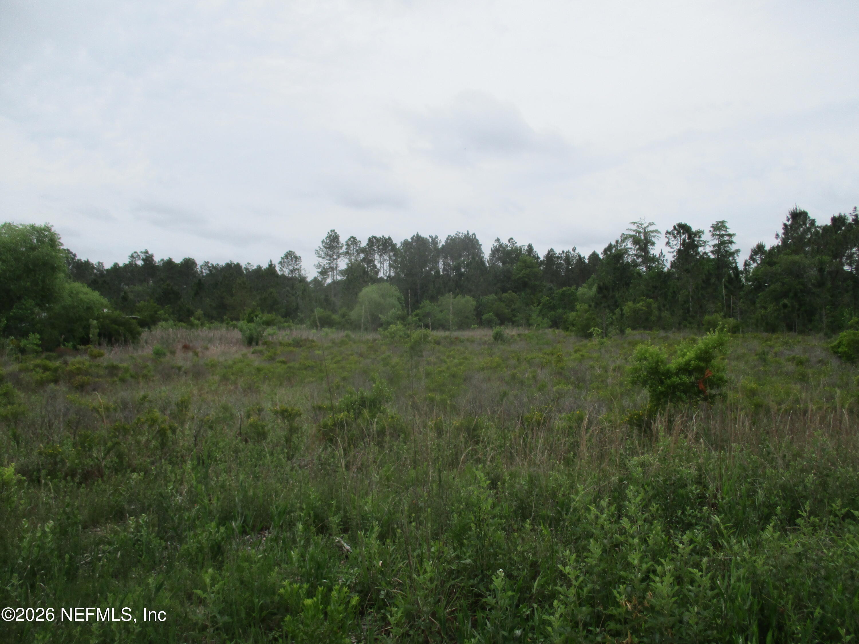 0 Quail Road Callahan, FL 32011 - Photo 1 of 5 a view of a field of grass and trees