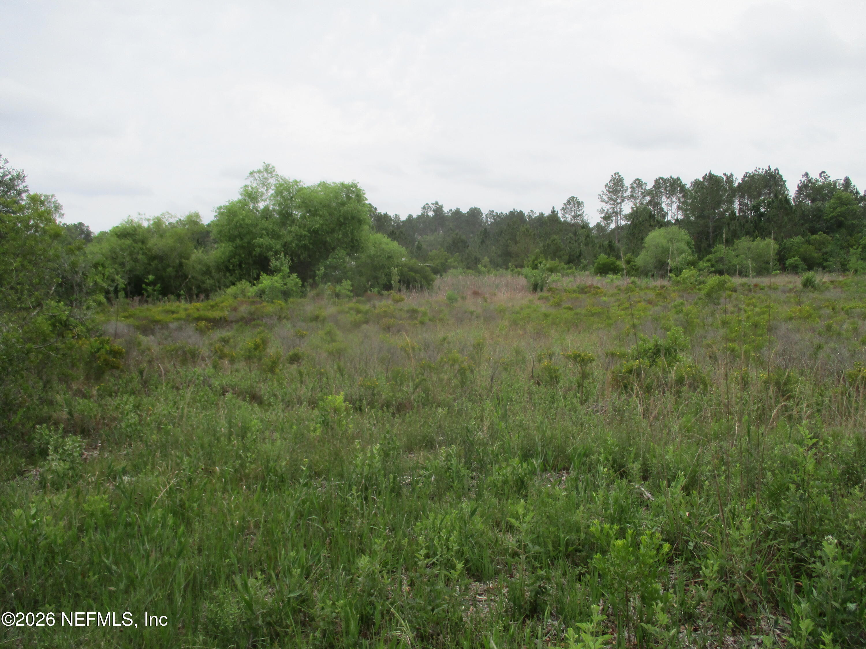 0 Quail Road Callahan, FL 32011 - Photo 2 of 5 a view of a field of grass and trees