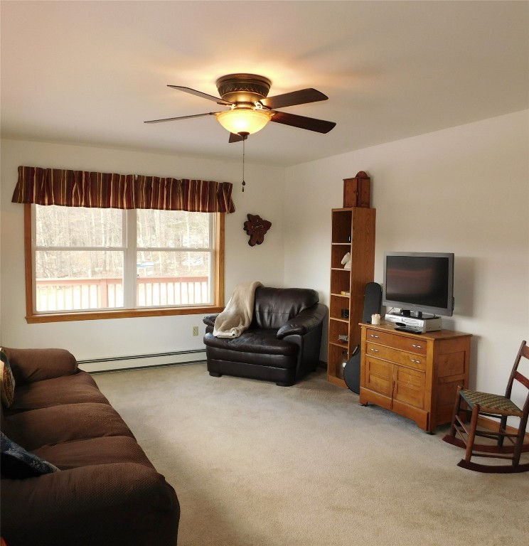 126 Quinn Road Greene, NY 13778 - Photo 13 of 39 Gallery Image 13