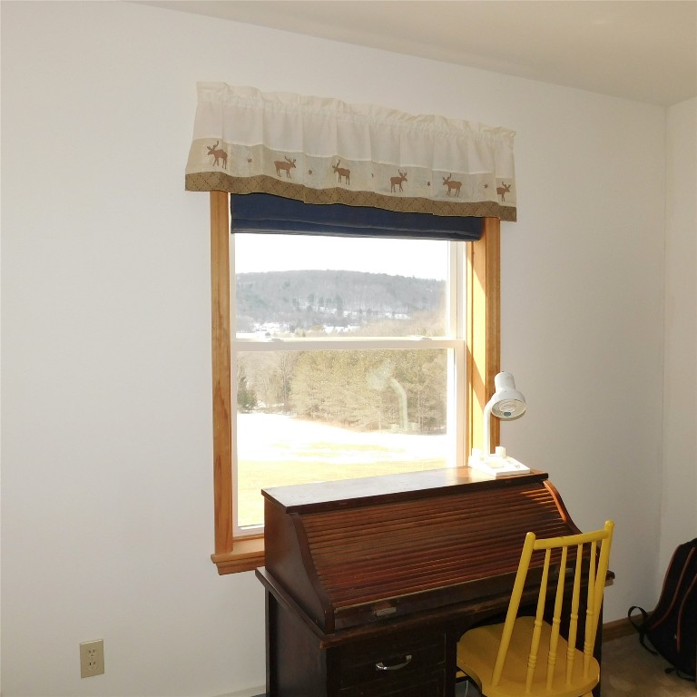 126 Quinn Road Greene, NY 13778 - Photo 19 of 39 Gallery Image 19